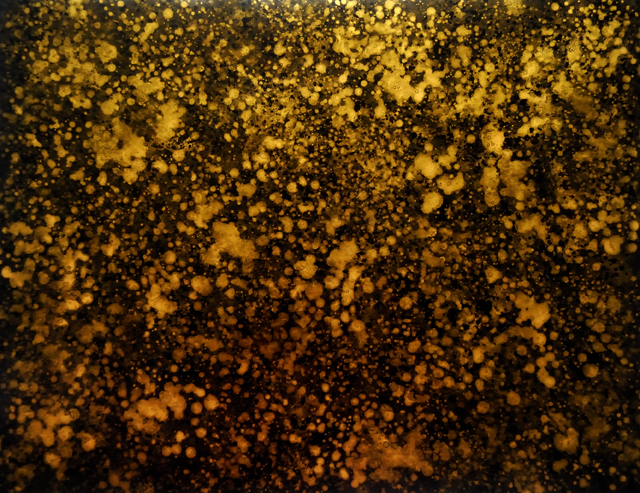 Wenlan Hu Frost - Natural Expressionism Series II No. 003
