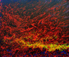 Wenlan Hu Frost - Fluid
        Dynamics Series No. 3